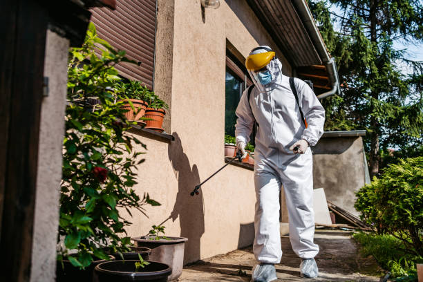 Best Local Pest Control Services  in Whitewater, CA