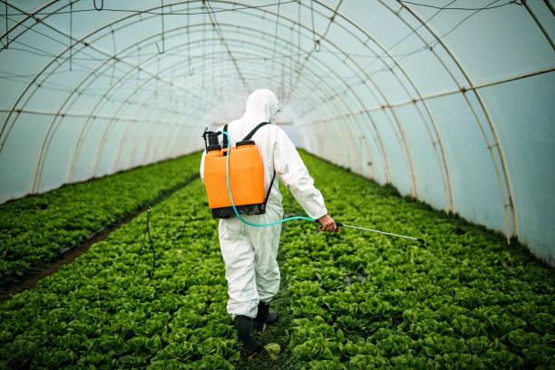 Best Best Pest Control Near Me  in Whitewater, CA