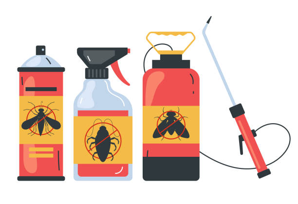 Best Insect Control  in Whitewater, CA