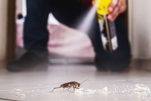 Best Exterminator Services  in Whitewater, CA