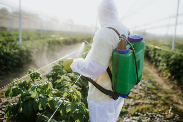 Best Insect Control  in Whitewater, CA
